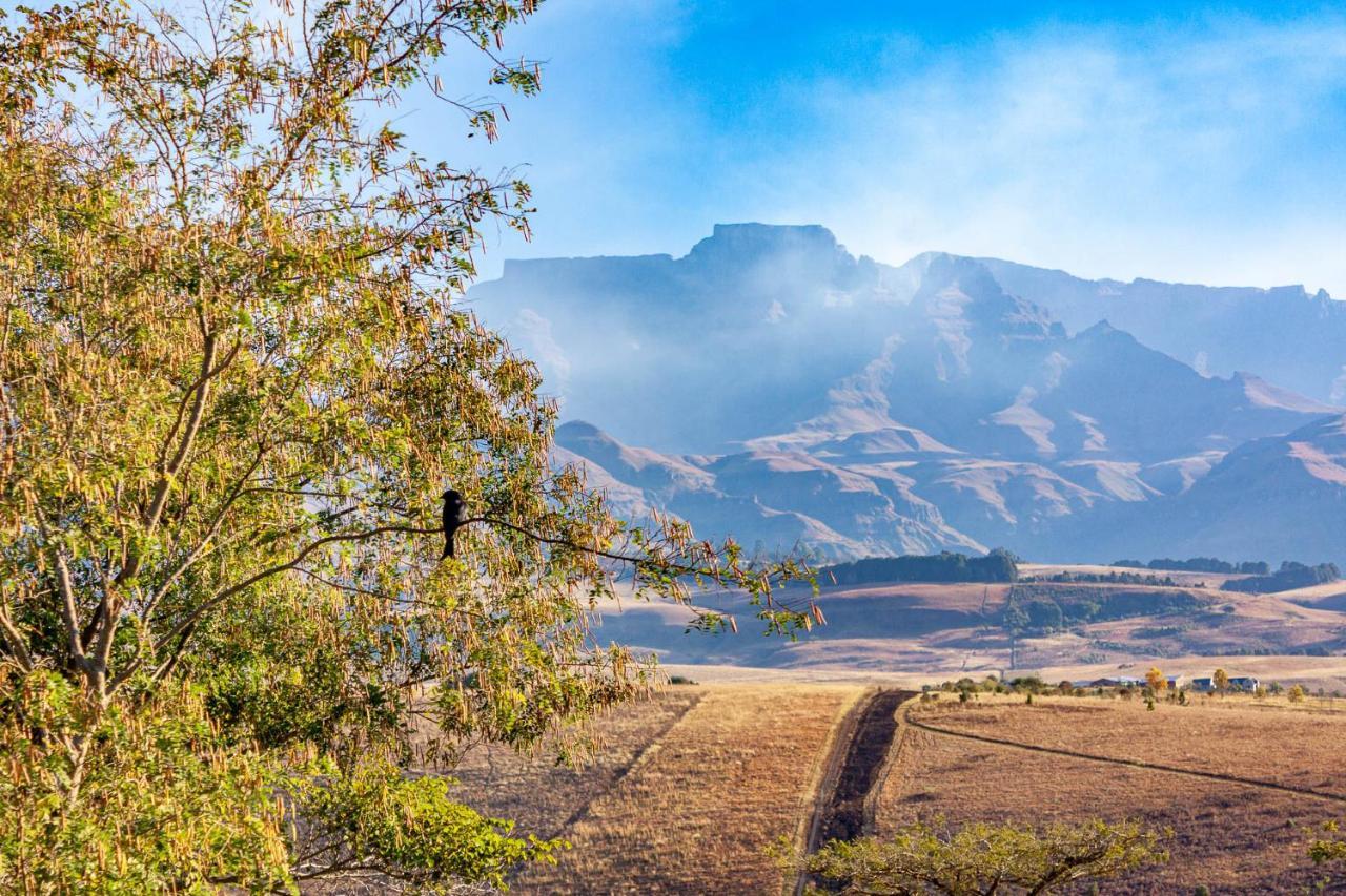 Inkungu Lodge Champagne Valley Екстериор снимка