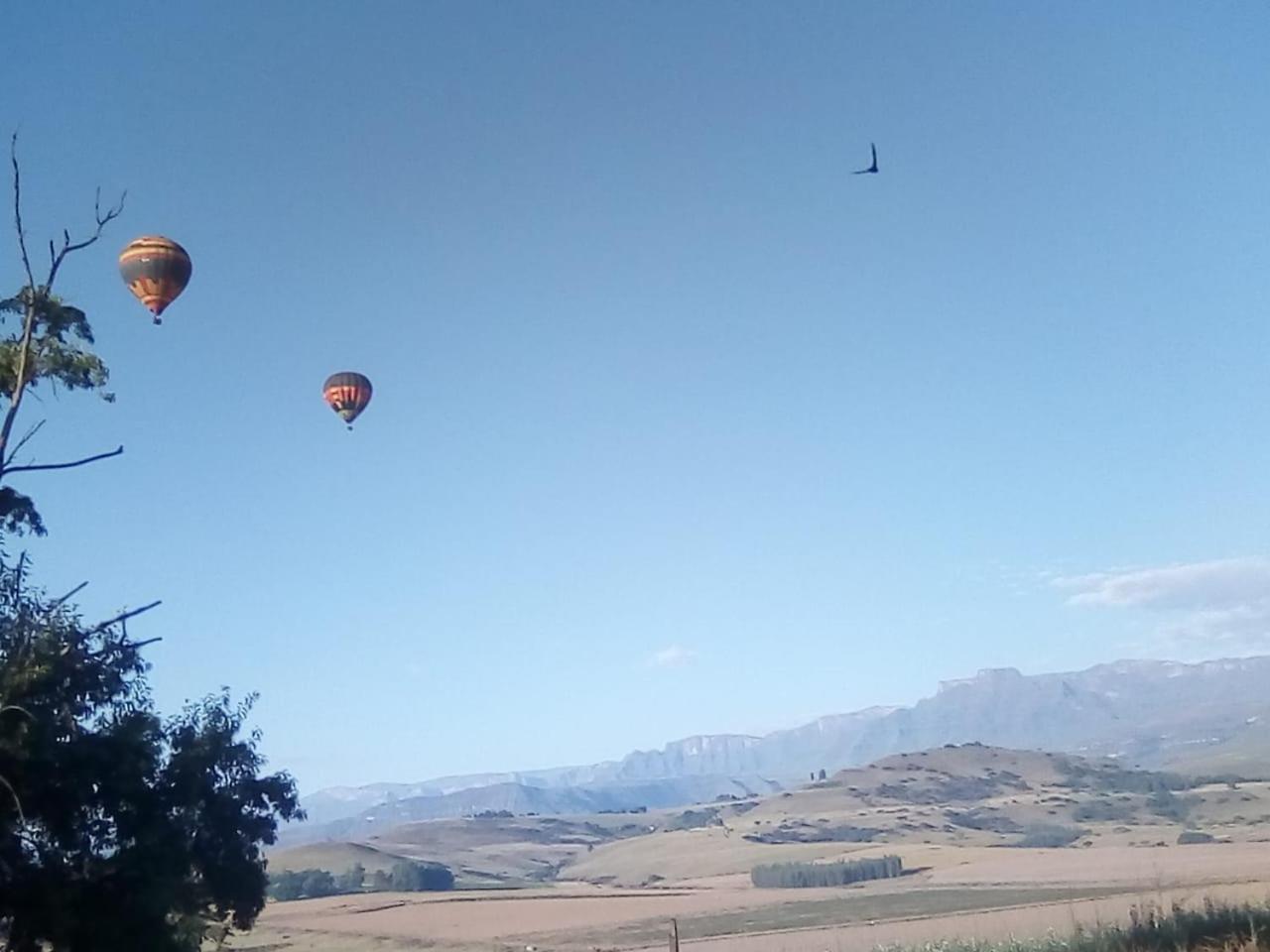 Inkungu Lodge Champagne Valley Екстериор снимка